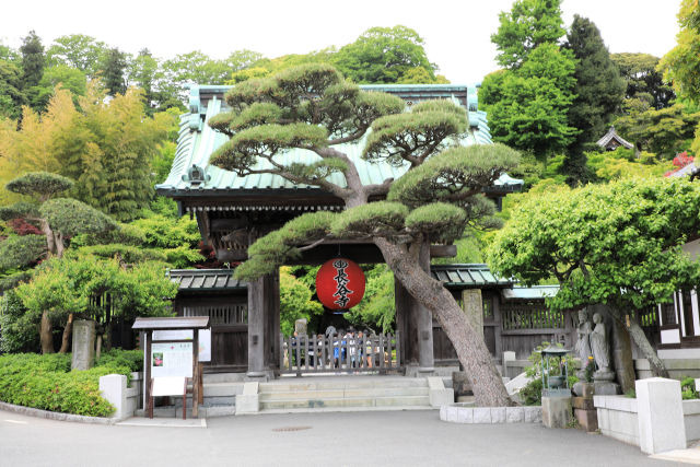 長谷寺 山門