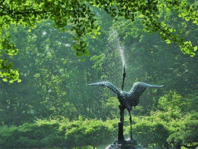 日比谷公園の朝