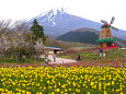 天空の花園