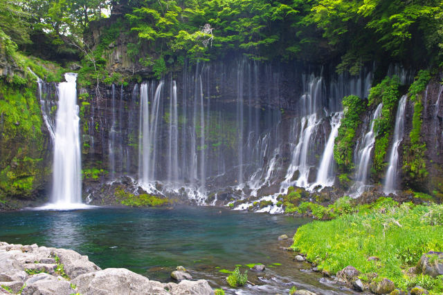 新緑の白糸の滝