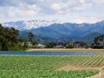 飯豊連峰