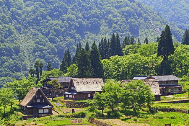 新緑の五箇山