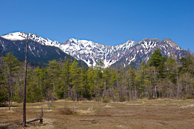 田代湿原から穂高連峰