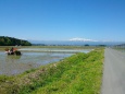 田植えと月山