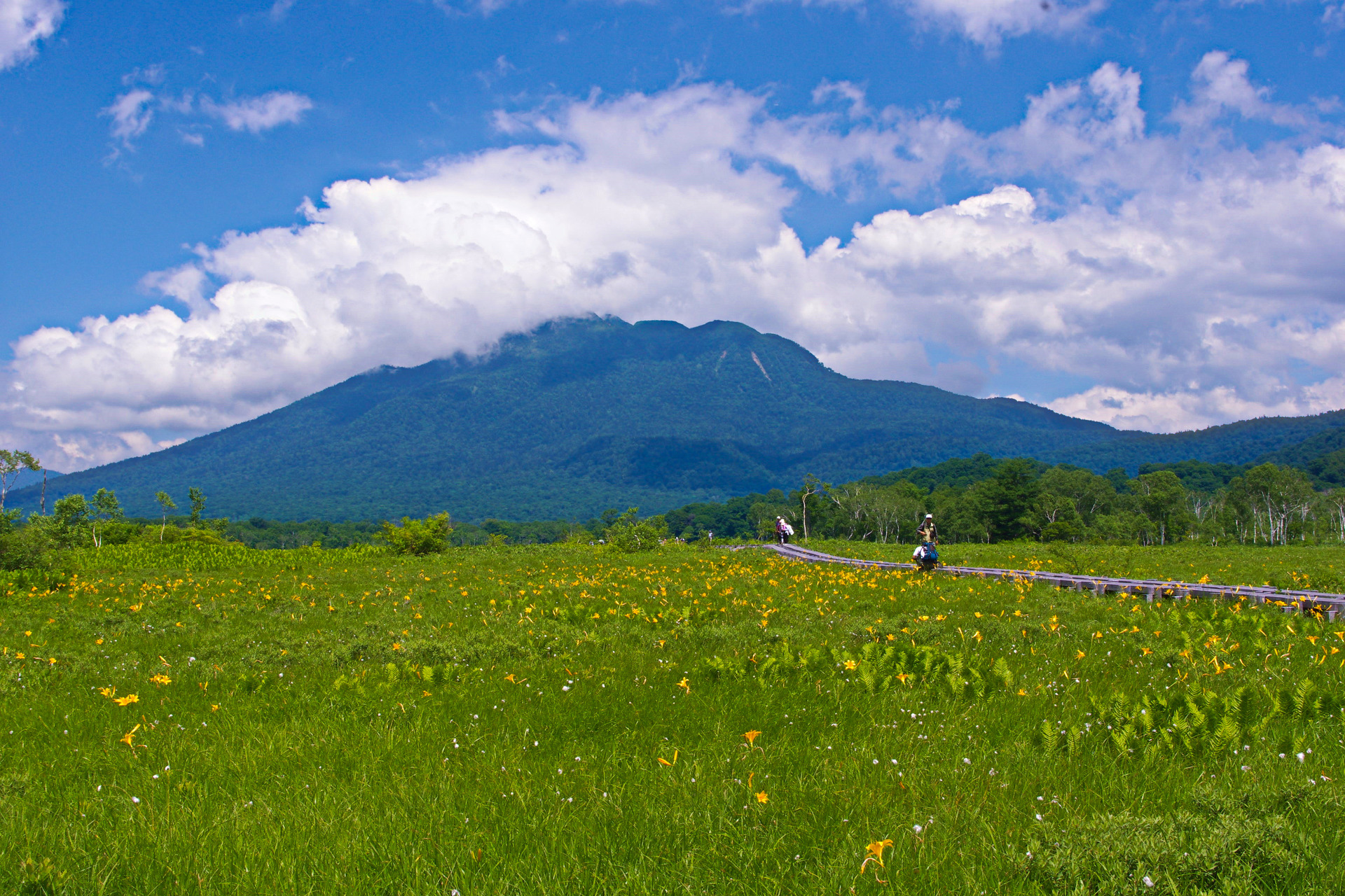 日本の風景 爽やか尾瀬の夏 壁紙19x1280 壁紙館