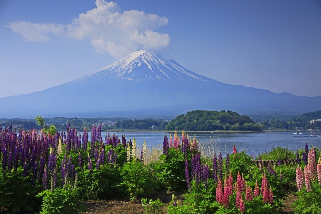 河口湖の富士山