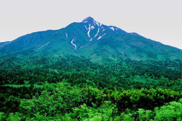 ポン山から望む利尻山