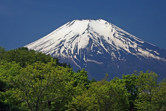 新緑の富士