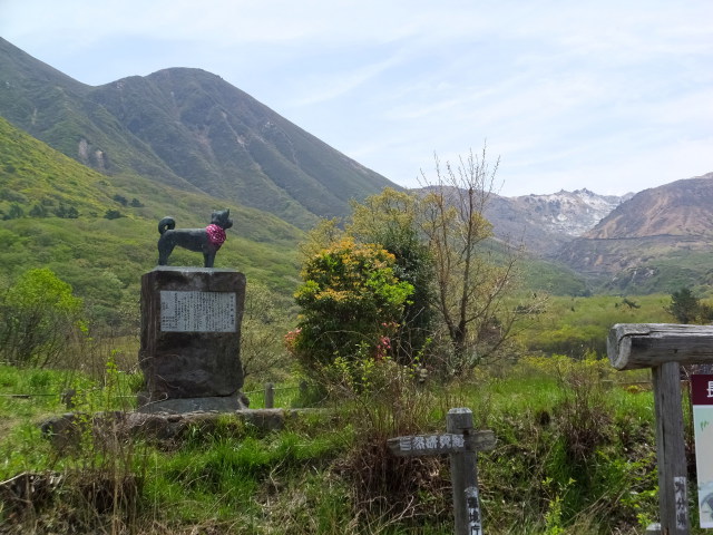 登山口で、九重の案内犬平治号