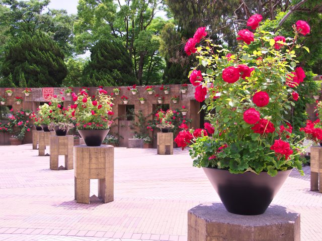 横浜 山下公園