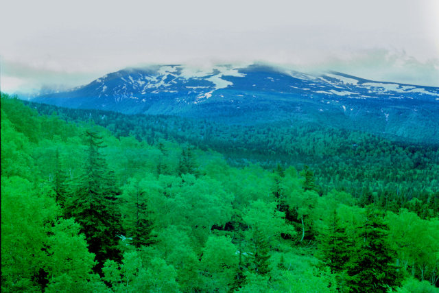 大雪山