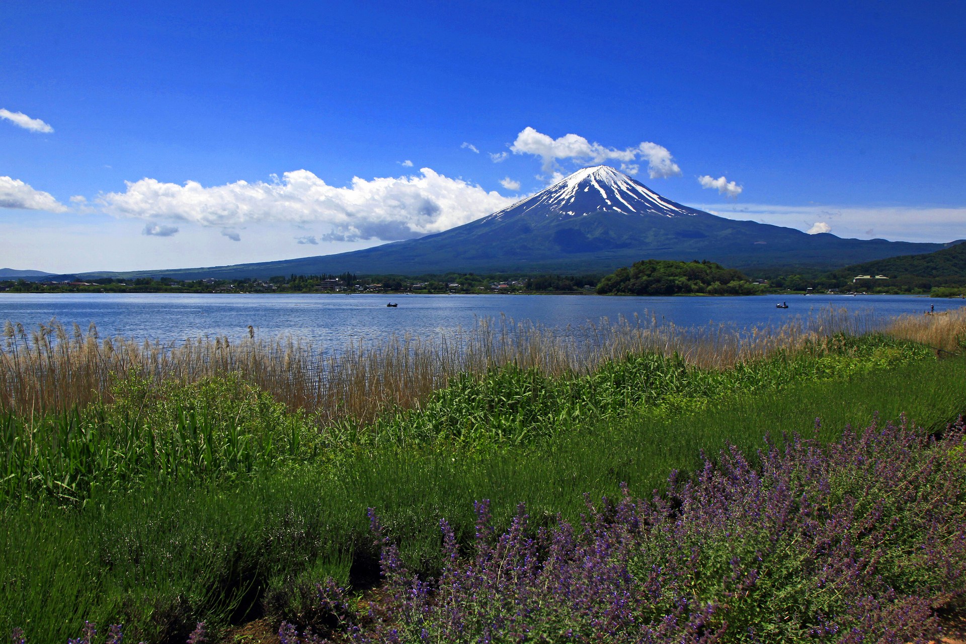 日本の風景 初夏の富士山 壁紙1920x1280 壁紙館