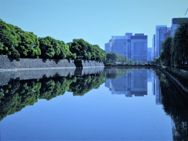 日比谷濠にて