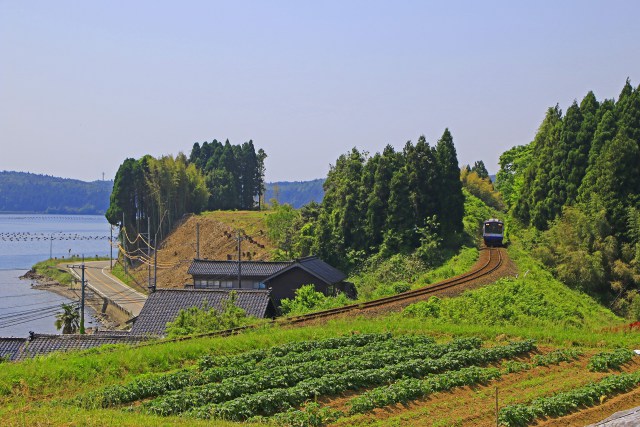 海岸沿いの路線