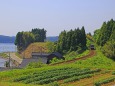 海岸沿いの路線