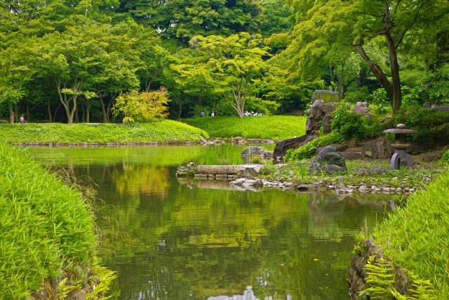 深緑の小石川後楽園