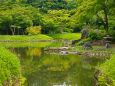 深緑の小石川後楽園