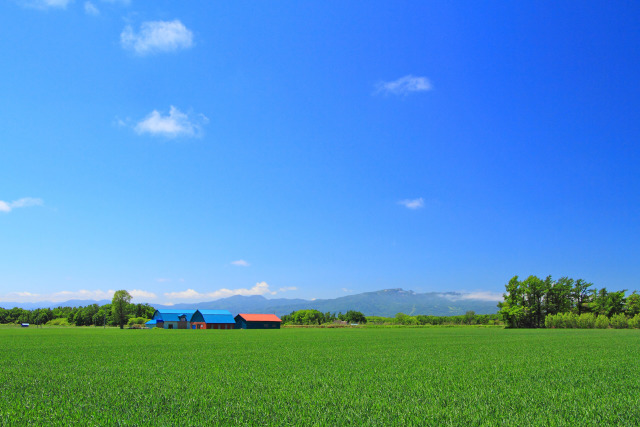 初夏の石狩平野～空と大地 2