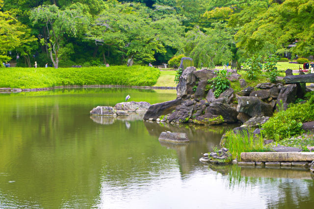 小石川後楽園・蓬莱島と大泉水