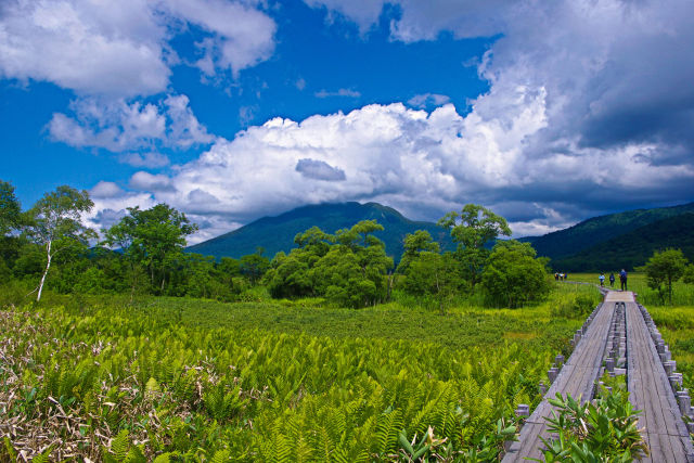 夏雲湧く尾瀬