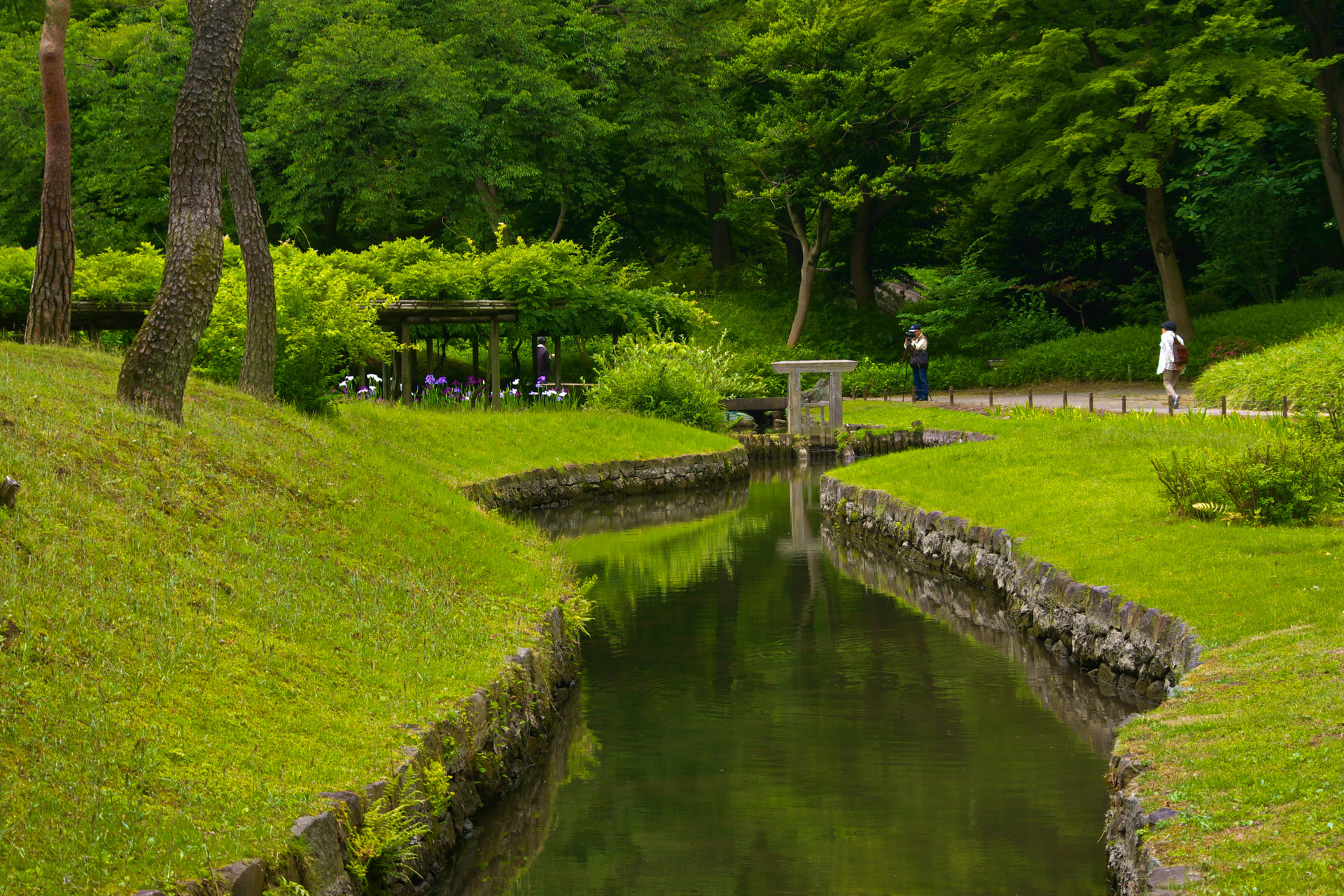日本の風景 深緑の小石川後楽園 壁紙1920x1280 壁紙館