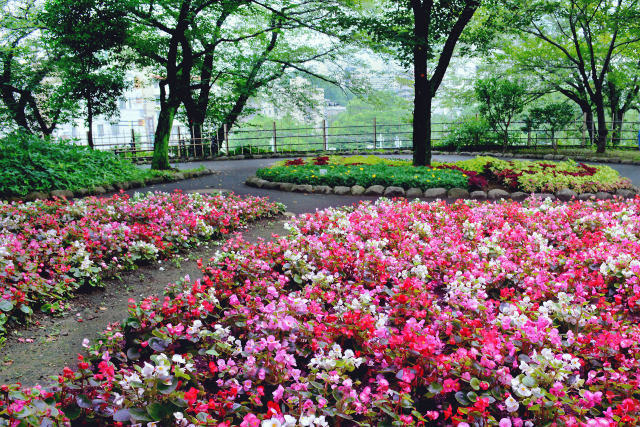 丘の上の公園