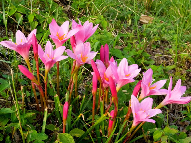 小川の土手で