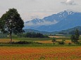 北海道百名山芦別岳