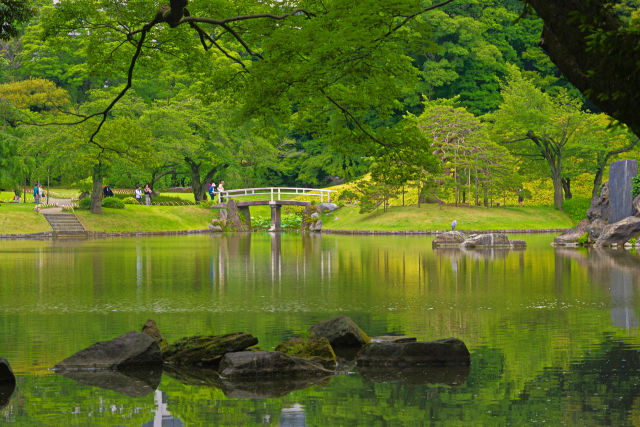 初夏の小石川後楽園