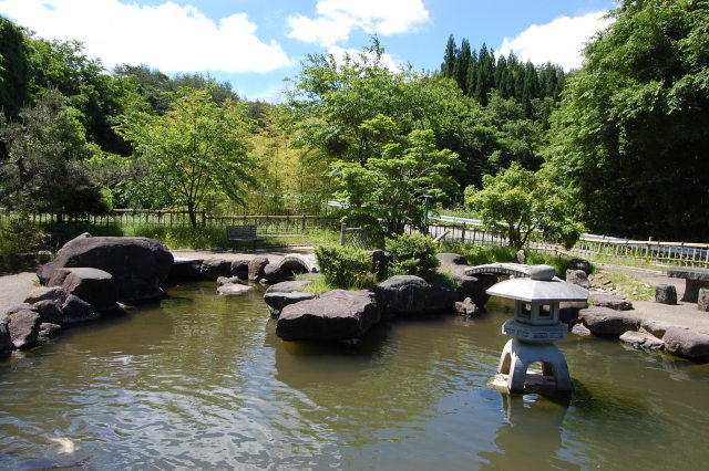 深緑(六月)の桜峠