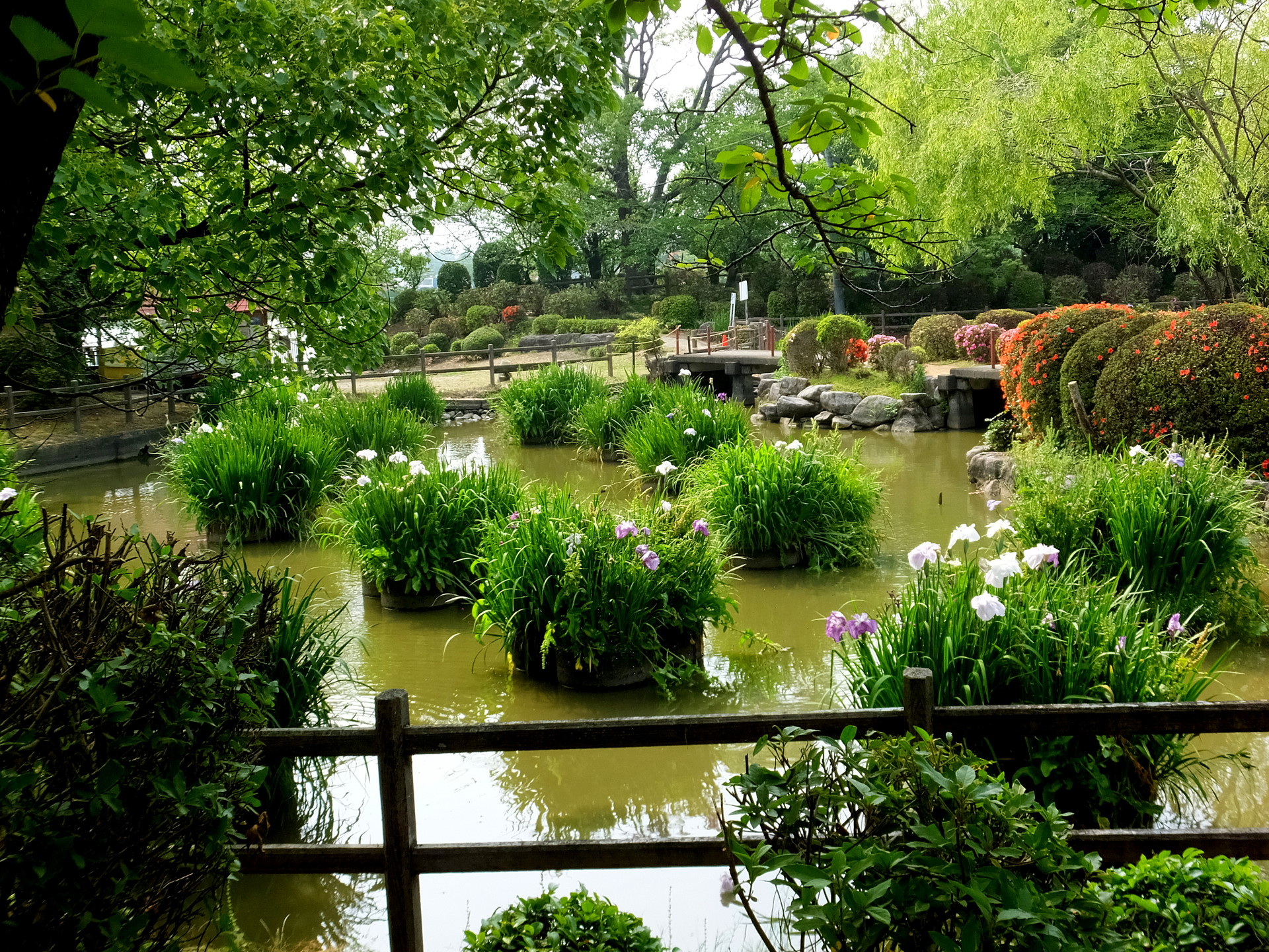 日本の風景 6月の公園風景 壁紙19x1440 壁紙館