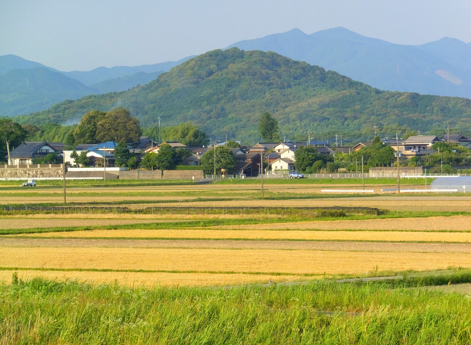 日本の風景 6月初旬の田園風景 壁紙19x1408 壁紙館