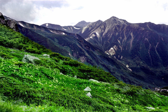 鷲羽岳を見ながら登山道を行く