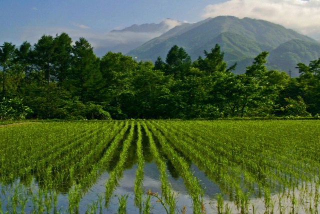 緑の白馬村