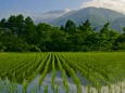 緑の白馬村