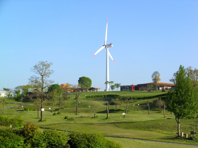 朝の産山牧場