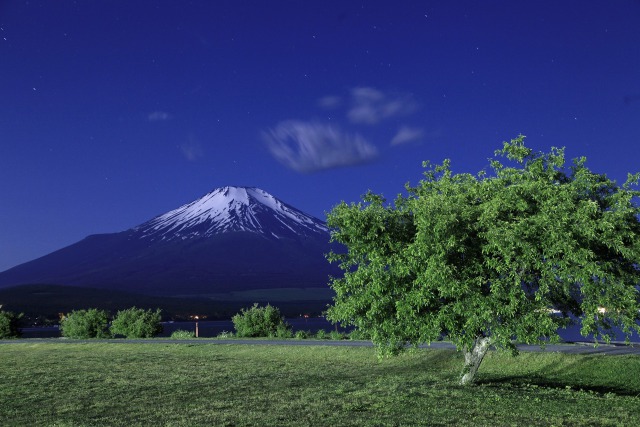 夜半の富士