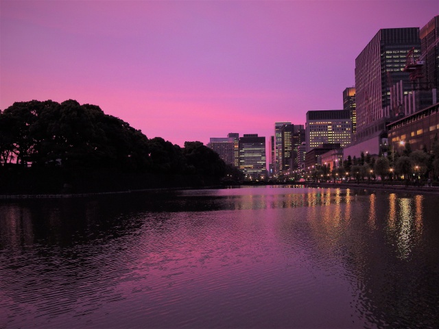 日比谷濠の夕景