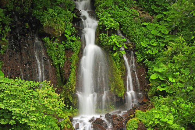 吐竜の滝