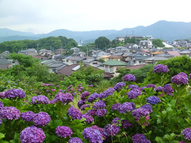 里山からの梅雨景色