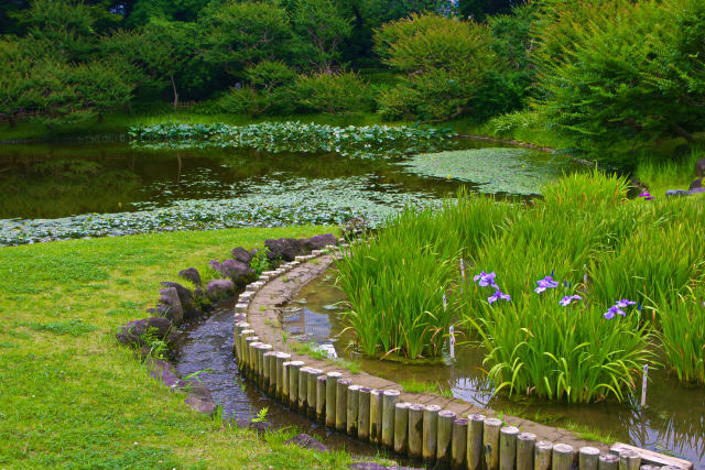 皇居 東御苑の二の丸庭園