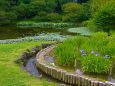 皇居 東御苑の二の丸庭園