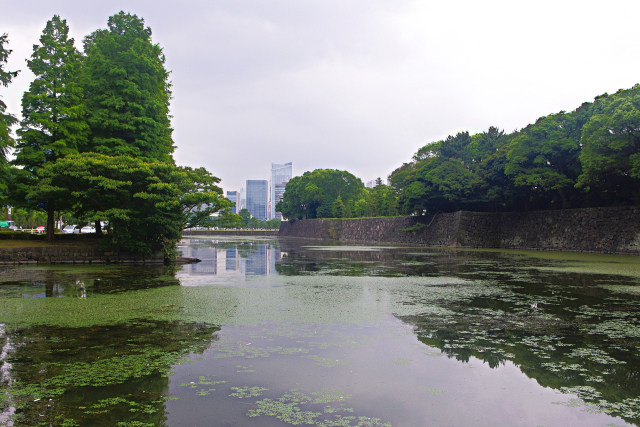 皇居 大手門からの眺め