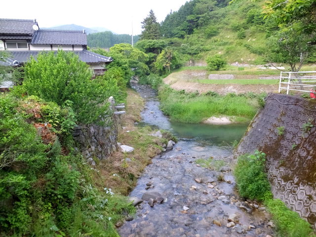 小川のT字路