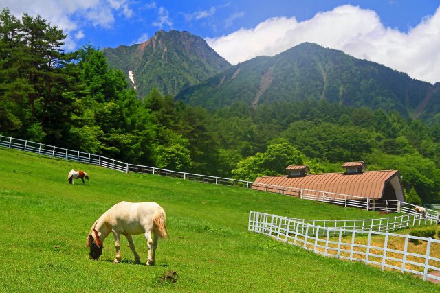 八ヶ岳の見える牧場