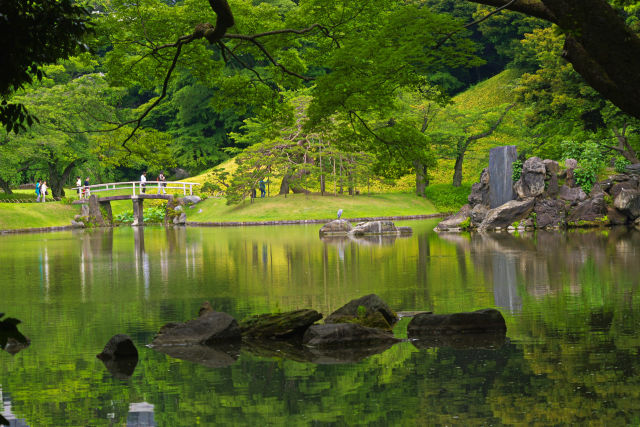 深緑映す大泉水