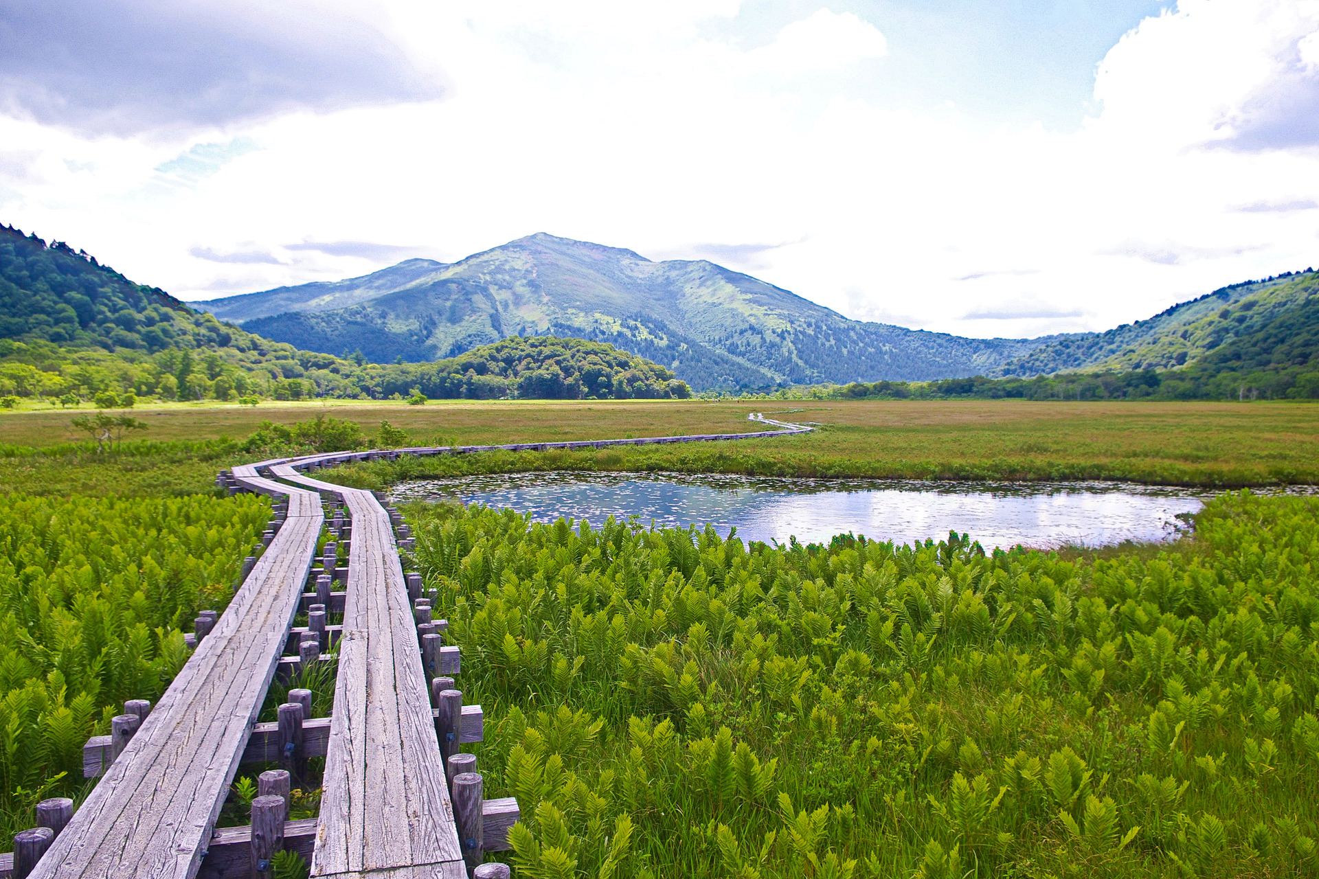 日本の風景 夏の尾瀬ヶ原 壁紙19x1280 壁紙館