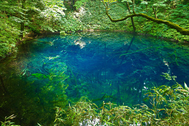 十二湖 青池