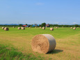 北海道の夏の風物詩