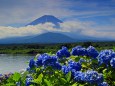 精進湖の富士山